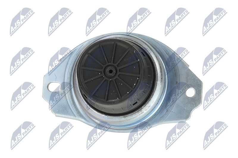 Paigutus, Mootor, NTY ZPS-LR-018