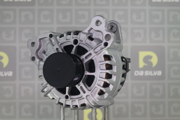 DA SILVA 012114 Generatorius