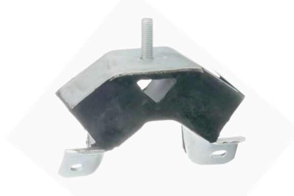 GOOM Variklio montavimas