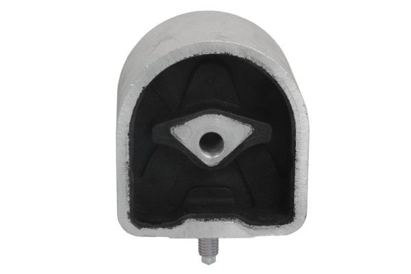 REINHOCH RH11-3014 Mounting, engine