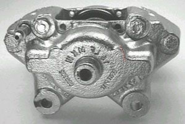 529502.JPG