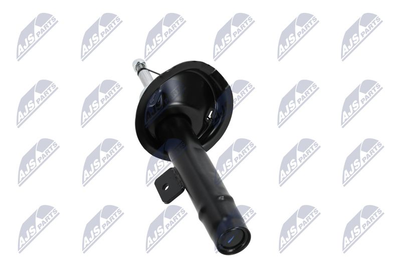 Amort, NTY A-CT-020