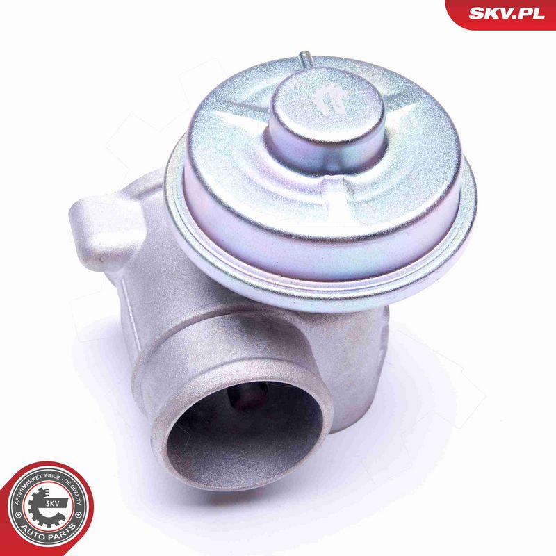 ESEN SKV 14SKV092 EGR Valve