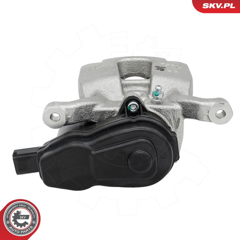 Pidurisadul, ESEN SKV 89SKV503