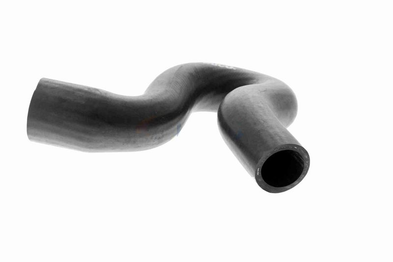 VAICO V42-0636 Radiator Hose
