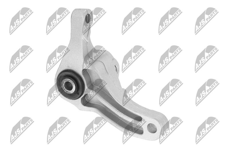 Paigutus, Mootor, NTY ZPS-FR-049