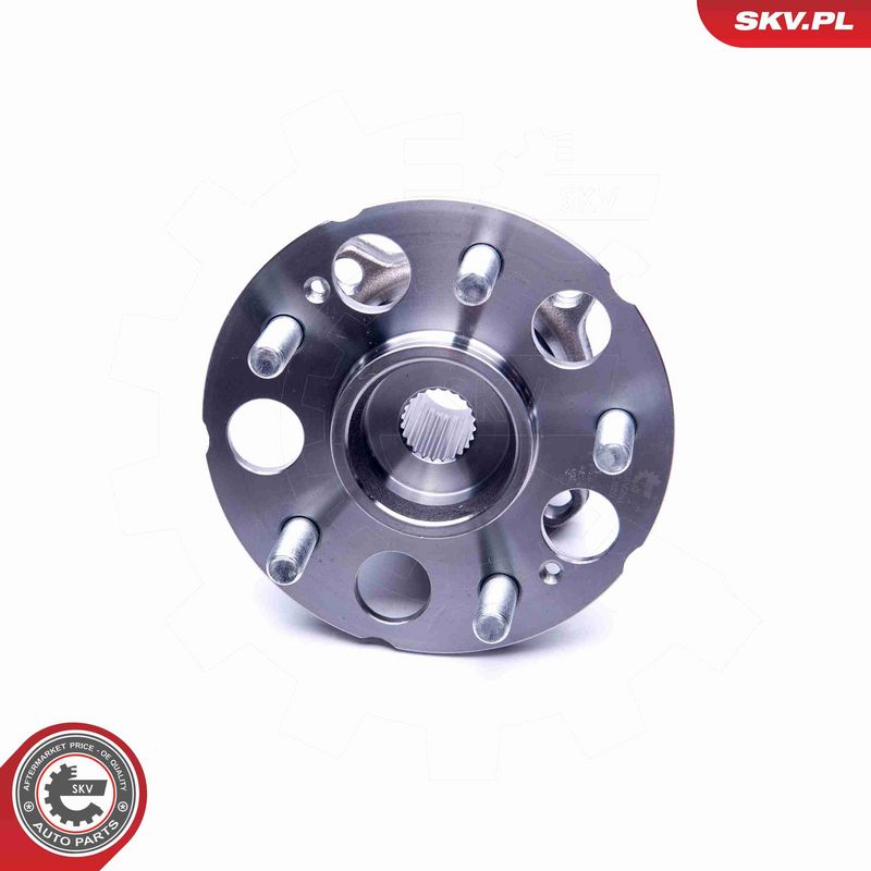 ESEN SKV 29SKV281 Wheel Bearing Kit