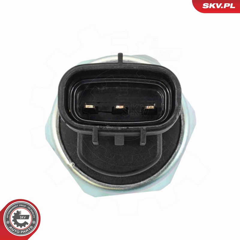 ESEN SKV 95SKV156 Sensor, fuel pressure