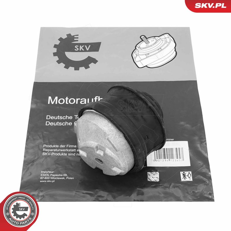 Paigutus, Mootor, ESEN SKV 75SKV168