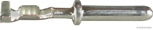50253303088.JPG