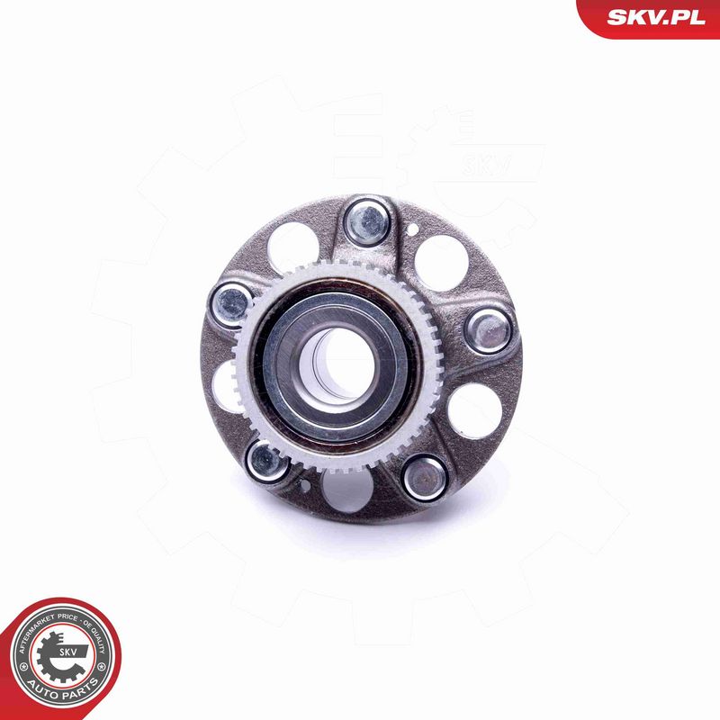 ESEN SKV 29SKV292 Wheel Bearing Kit