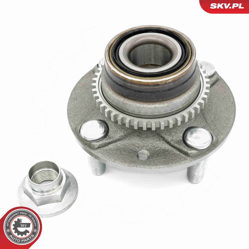 ESEN SKV 29SKV618 Wheel Bearing Kit
