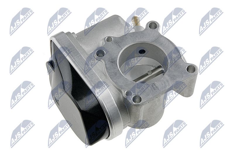 etb-vw-001_2-wm.JPG