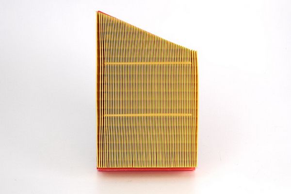 48787.JPG