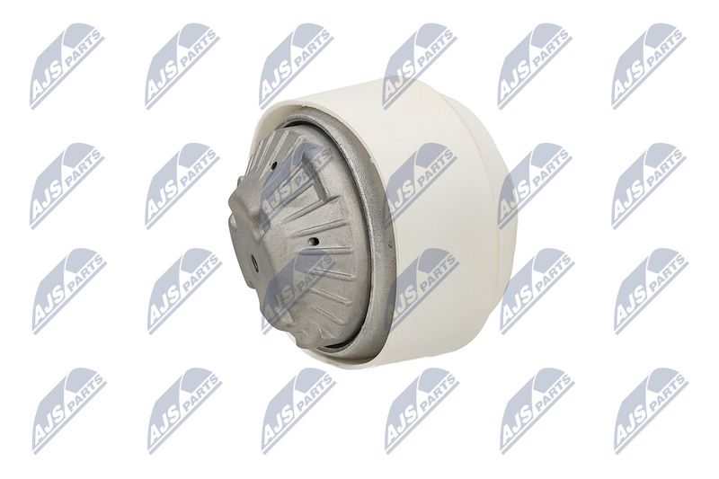 Paigutus, Mootor, NTY ZPS-ME-109