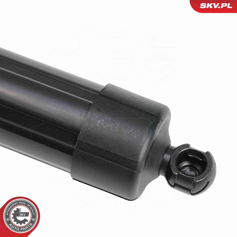 ESEN SKV 52SKV877 Electric Motor, tailgate