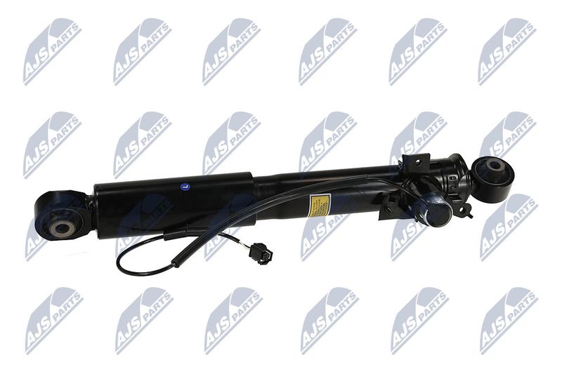Amort, NTY A-TY-095
