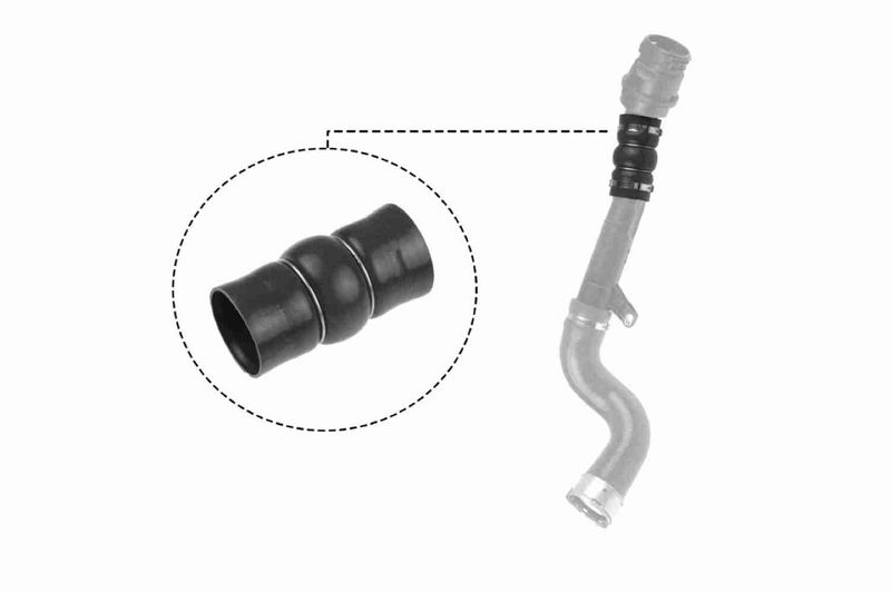 VAICO V46-0831 - Charge Air Hose