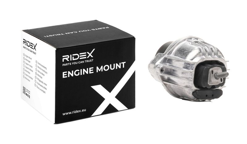 окачване, двигател RIDEX