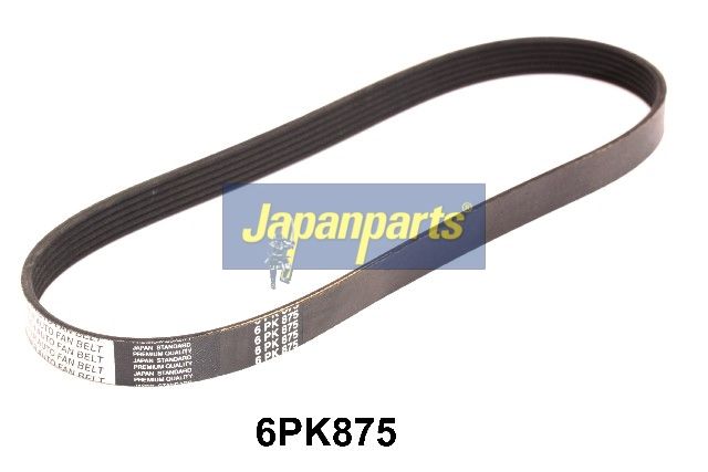 DV-6PK0875 JAPANPARTS Cinghia Poly-V 