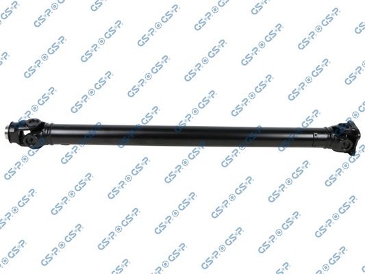 PS900331.JPG