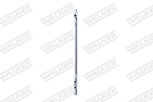 wcd00196_5340009.JPG