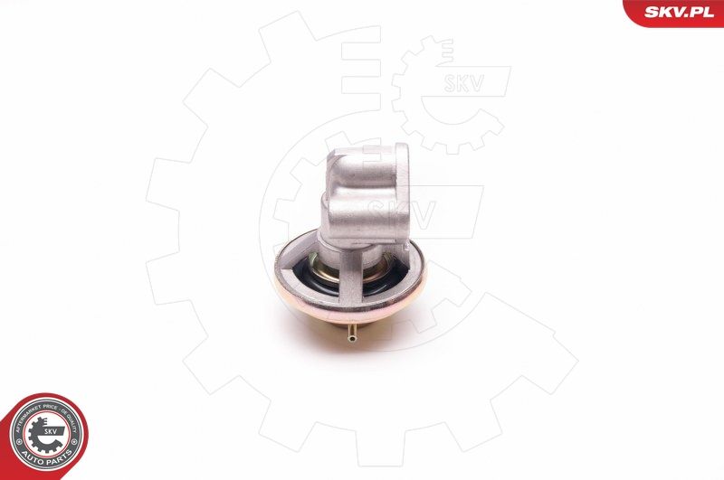 ESEN SKV 14SKV130 EGR Valve