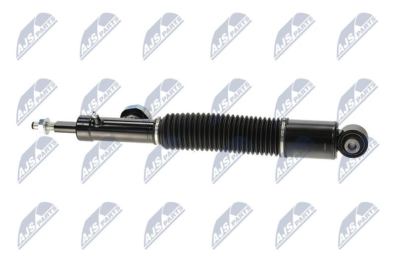 Amort, NTY A-NS-056