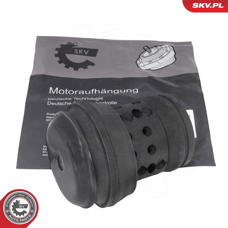 Paigutus, Mootor, ESEN SKV 75SKV238