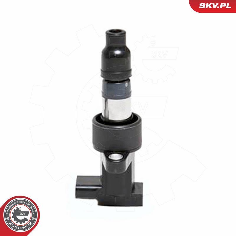 ESEN SKV 03SKV171 Ignition Coil