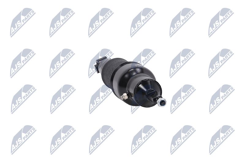 Amort, NTY A-NS-051