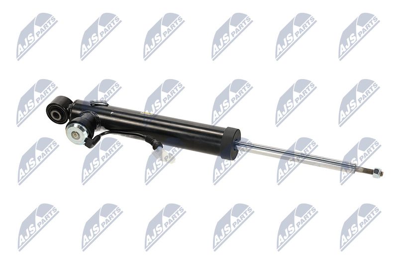 Amort, NTY A-PL-065