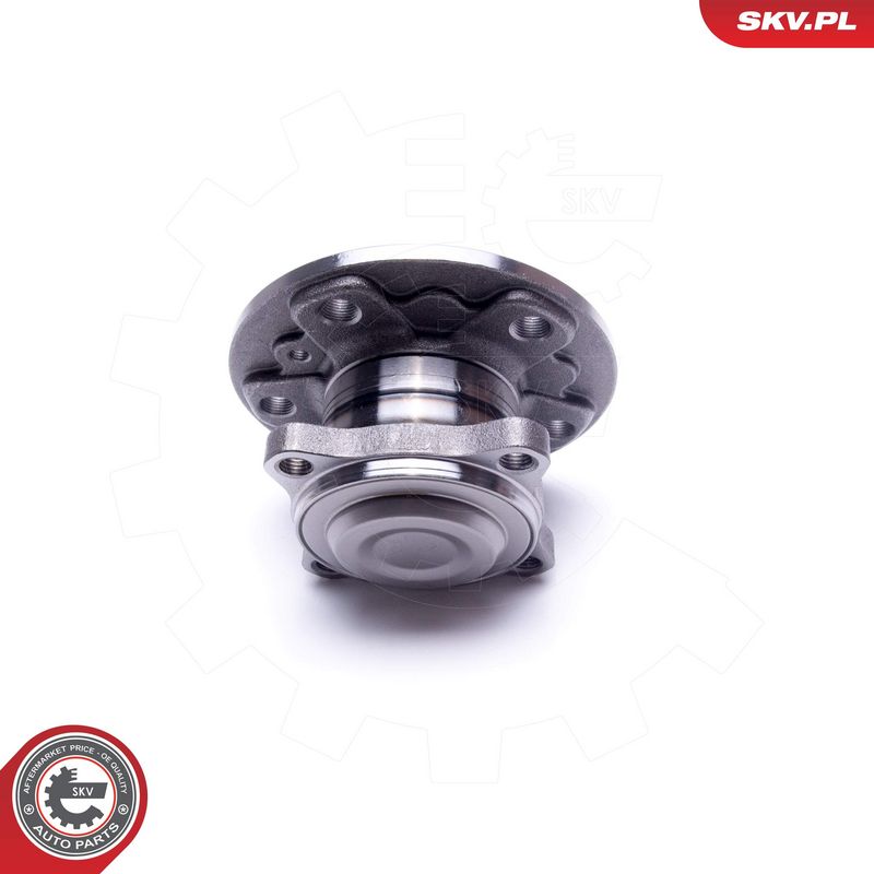 Rattalaagrikomplekt, ESEN SKV 29SKV317