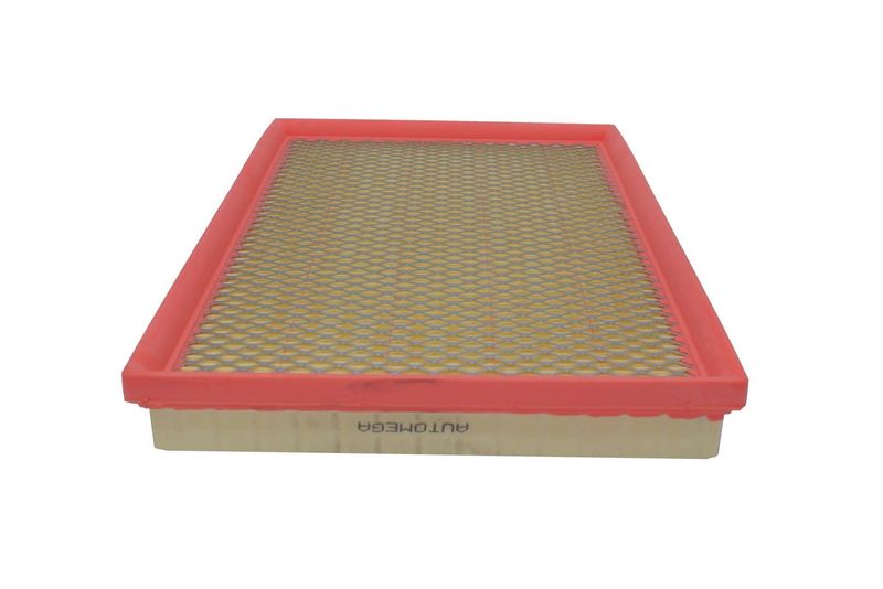 AUTOMEGA 180021710 Air Filter