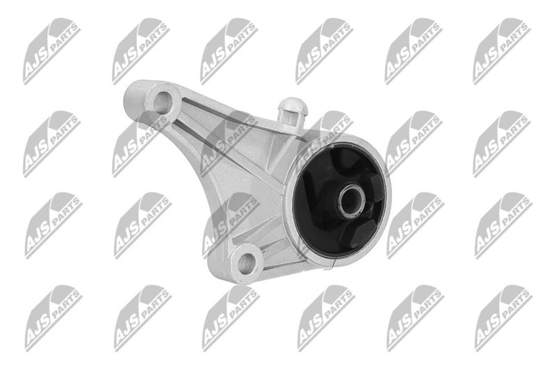 Paigutus, Mootor, NTY ZPS-PL-012