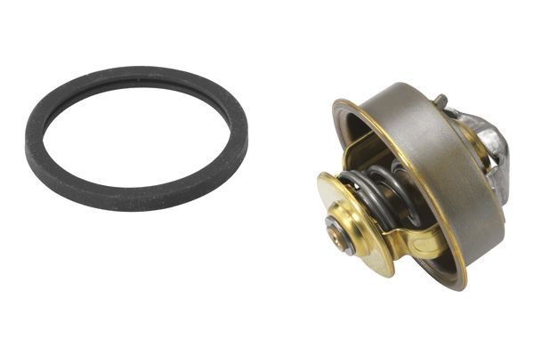 BorgWarner (Wahler) 4089.71D Thermostat, coolant