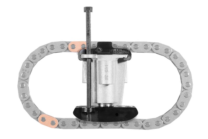 chit lant de distributie BorgWarner 59007150027