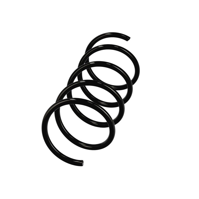 EIBACH R11054 Pakabos spyruoklė