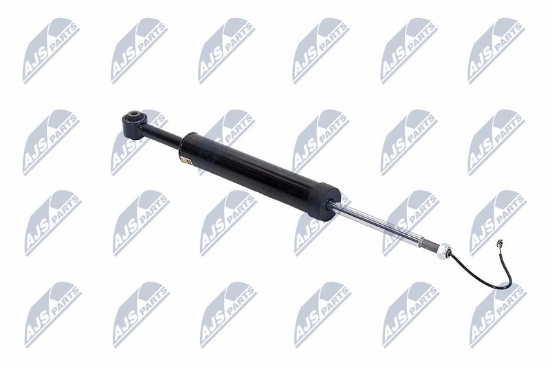 Amort, NTY A-MA-002