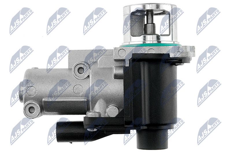 egr-vw-005_4-wm.JPG