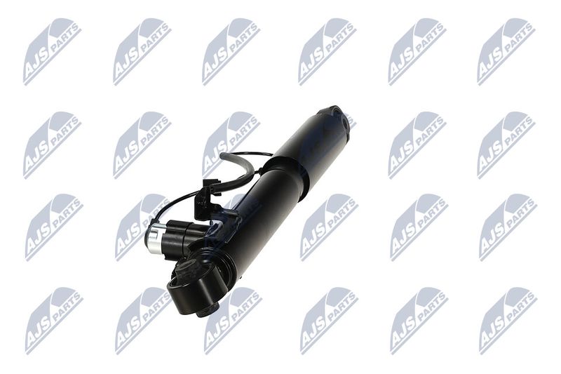 Amort, NTY A-TY-095