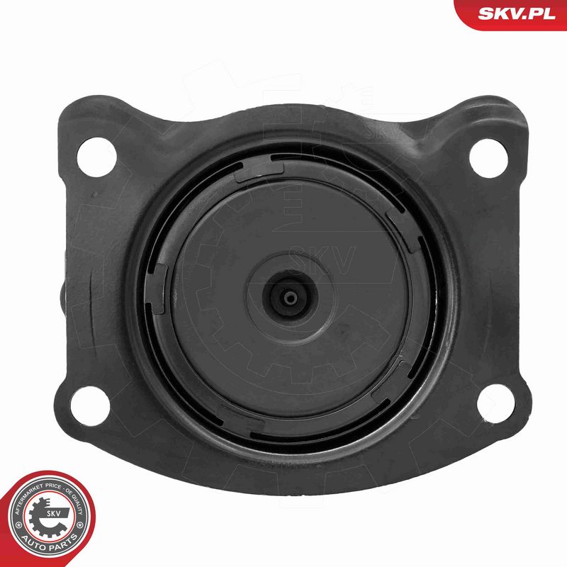ESEN SKV 75SKV319 Mounting, engine