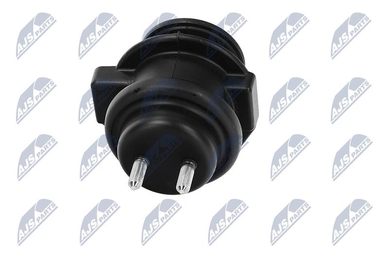 Paigutus, Mootor, NTY ZPS-NS-150
