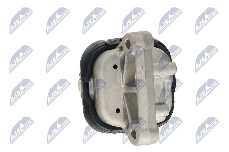 Paigutus, Mootor, NTY ZPS-CH-019