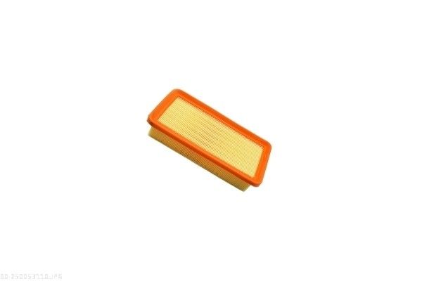 AUTOMEGA 250053110 Air Filter