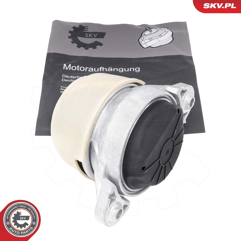 Paigutus, Mootor, ESEN SKV 75SKV118