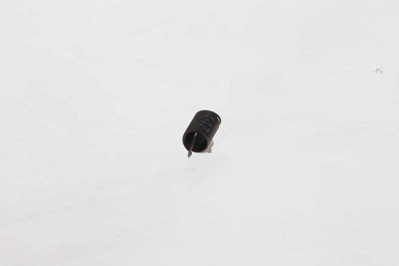 BOSCH 1464650447 Spring