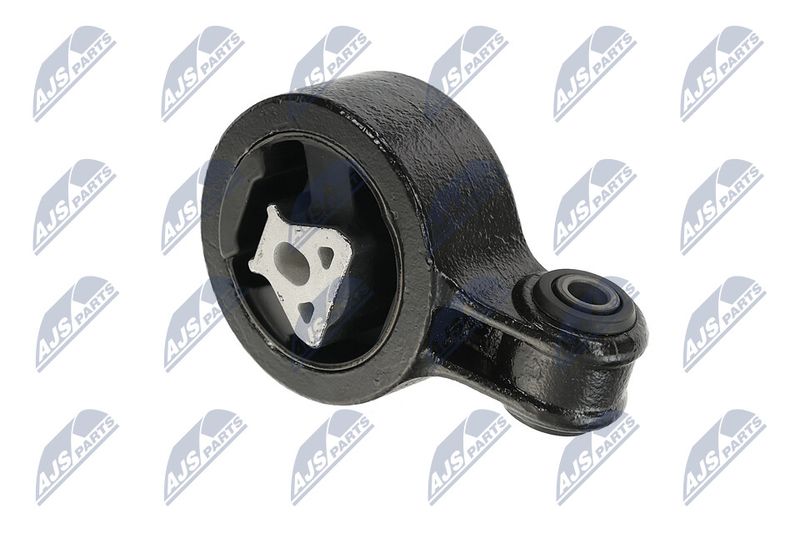 Paigutus, Mootor, NTY ZPS-CH-137