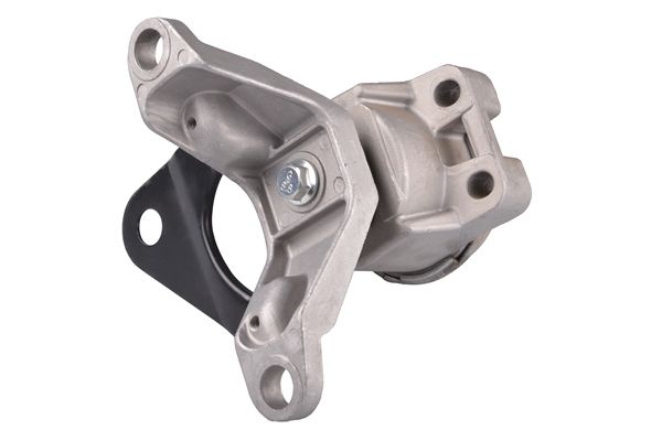 TEDGUM TED61715 Mounting, engine