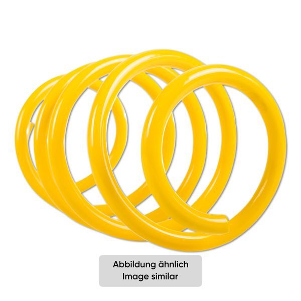 ST 28210391 Suspension Set, springs